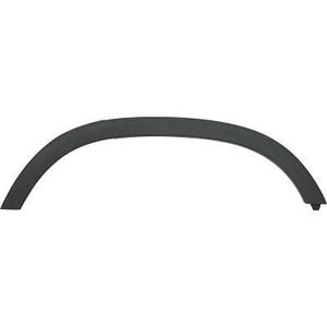 Baguette et bande protectrice de panneau latérale position arriére gauche - Compatible avec chevrolet/daewoo trax à partir de 2013